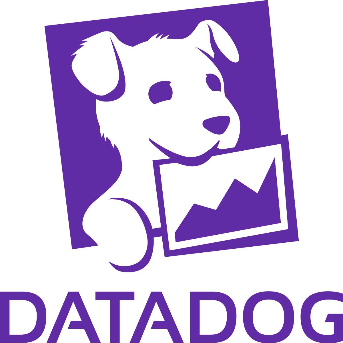 /images/datadog.png